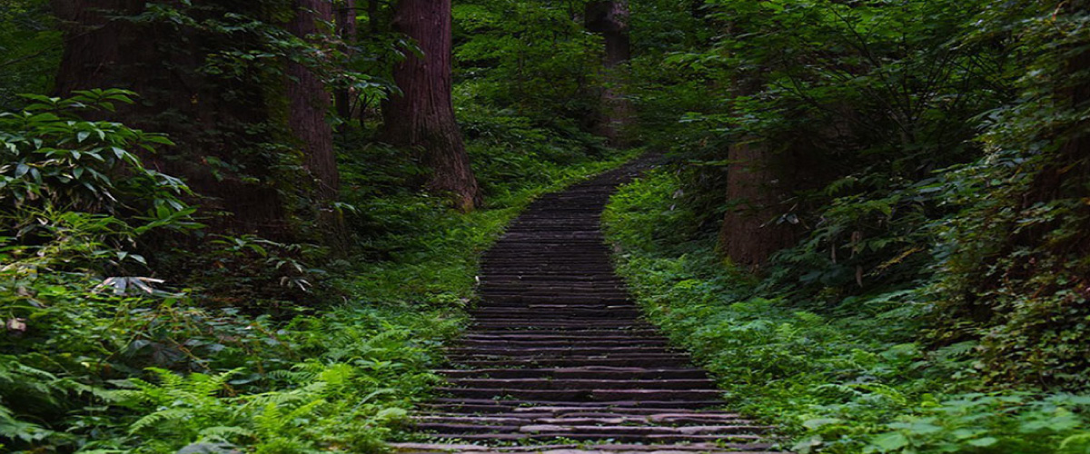 羽黒山の階段